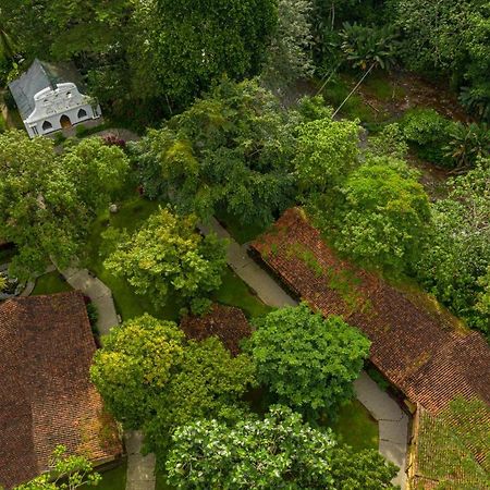 Villa Lapas Jungle Village Tárcoles Ngoại thất bức ảnh