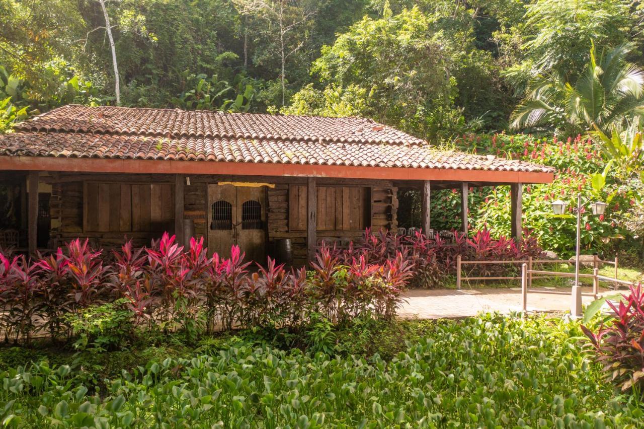 Villa Lapas Jungle Village Tárcoles Ngoại thất bức ảnh