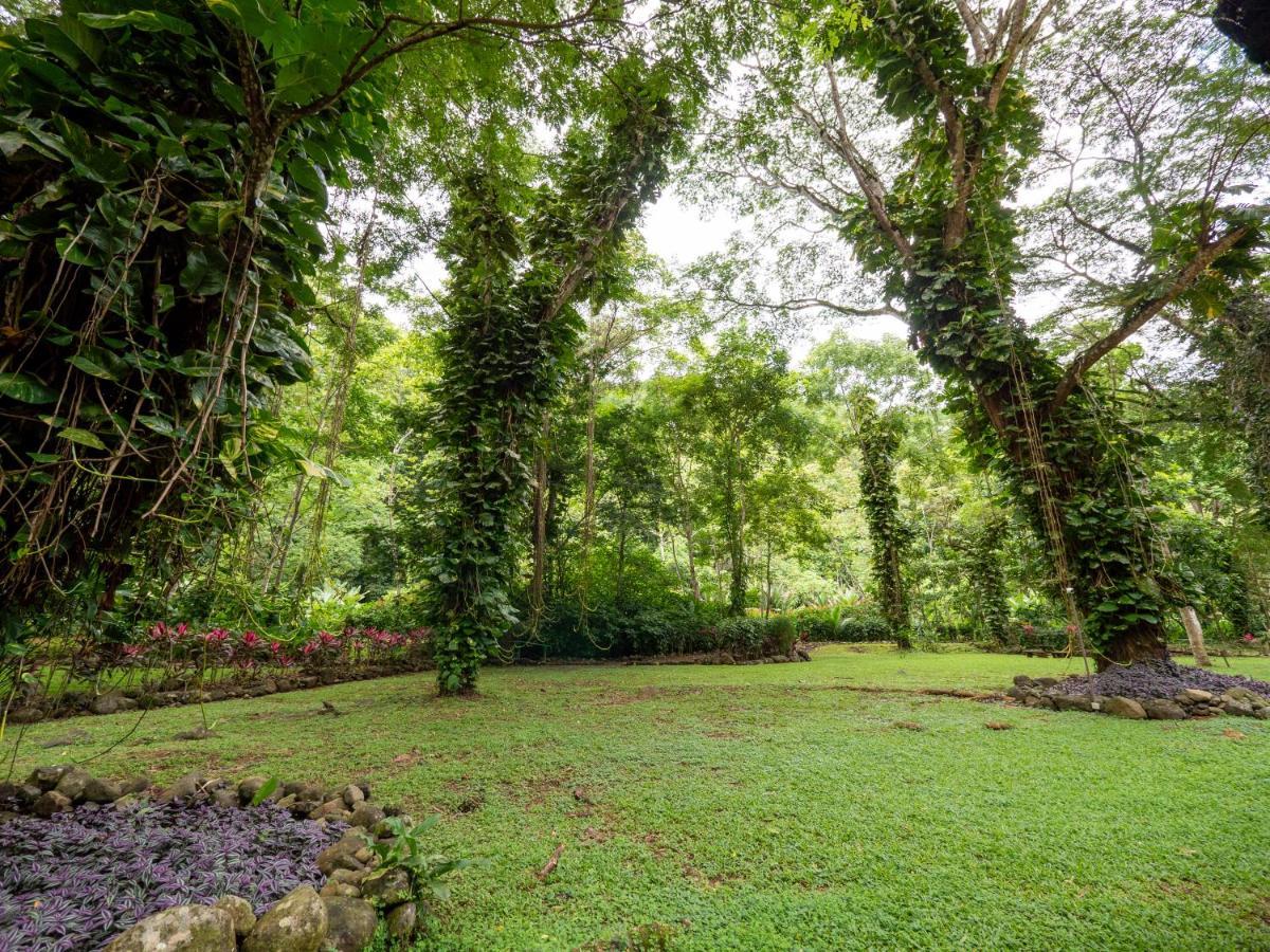 Villa Lapas Jungle Village Tárcoles Ngoại thất bức ảnh