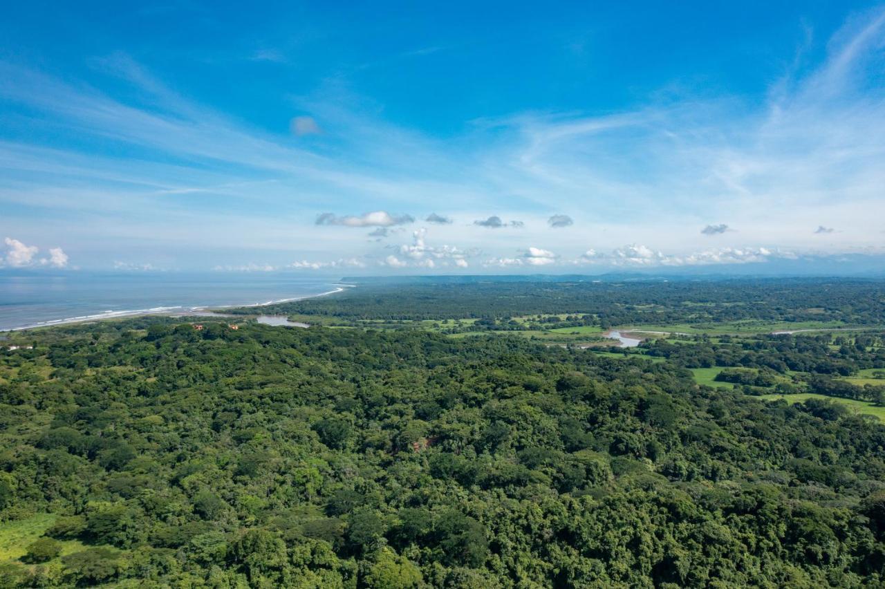 Villa Lapas Jungle Village Tárcoles Ngoại thất bức ảnh