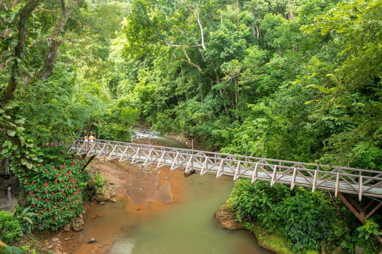 Villa Lapas Jungle Village Tárcoles Ngoại thất bức ảnh