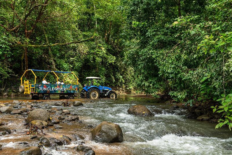 Villa Lapas Jungle Village Tárcoles Ngoại thất bức ảnh