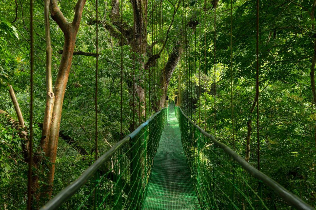Villa Lapas Jungle Village Tárcoles Ngoại thất bức ảnh