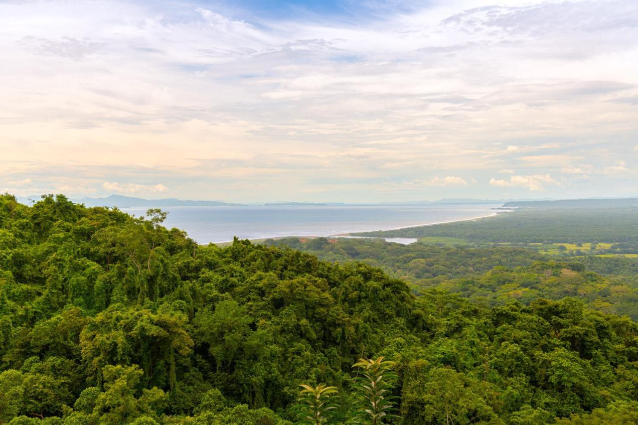 Villa Lapas Jungle Village Tárcoles Ngoại thất bức ảnh