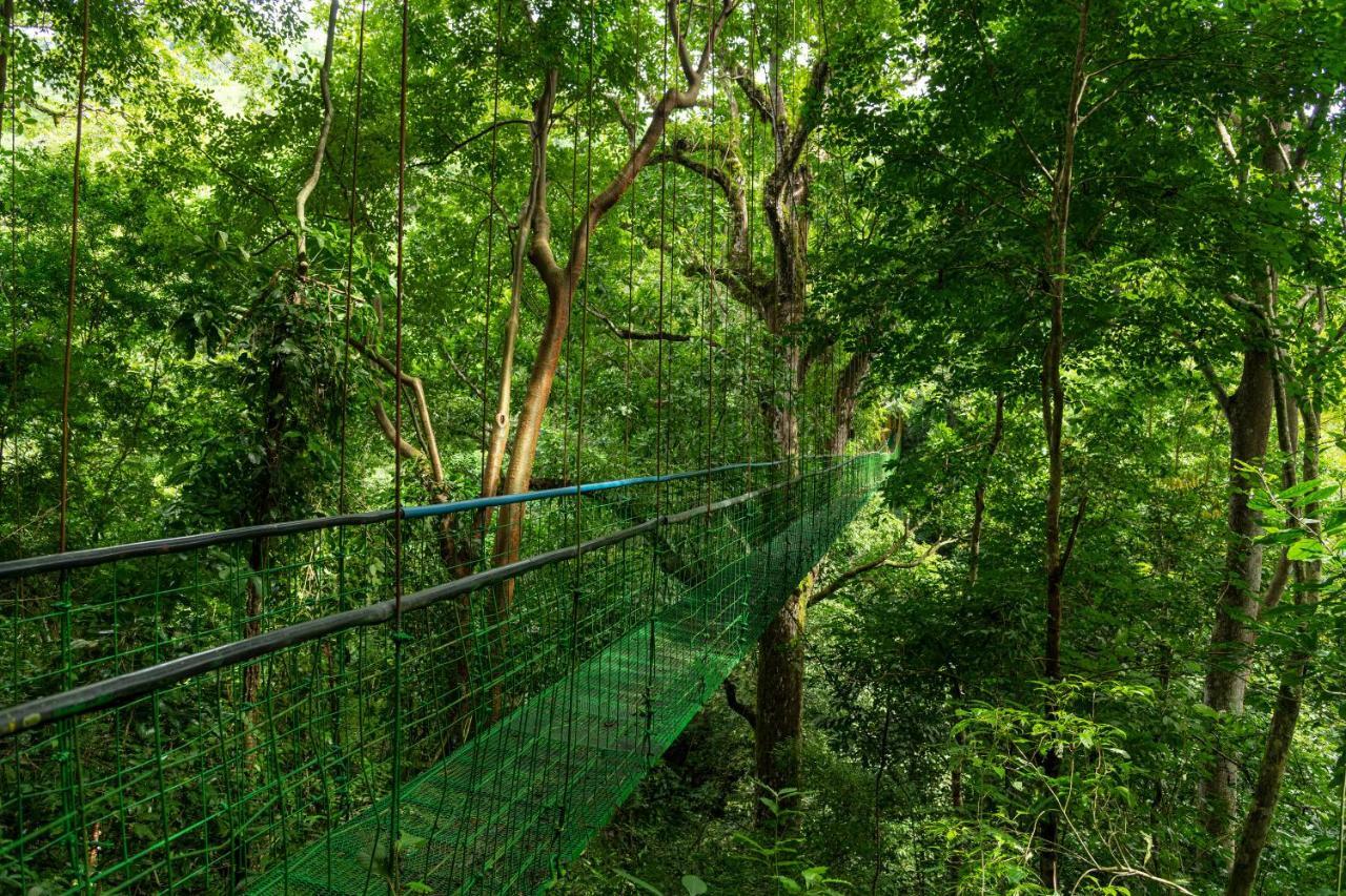 Villa Lapas Jungle Village Tárcoles Ngoại thất bức ảnh