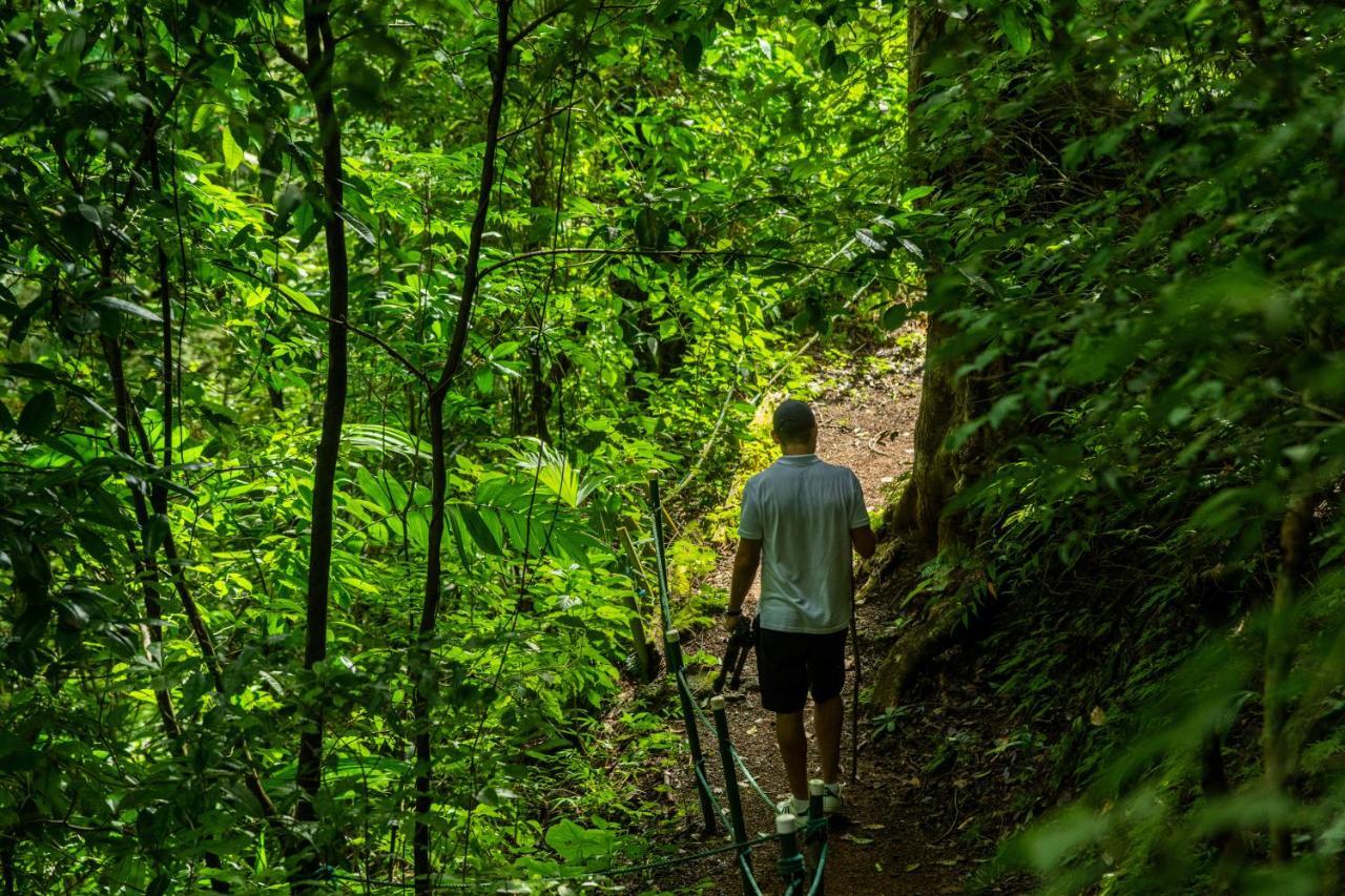Villa Lapas Jungle Village Tárcoles Ngoại thất bức ảnh